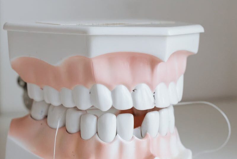 Detailed dental model with floss demonstrating oral hygiene practices.
